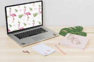 Laptop with flamingos on screen on table Free Photo