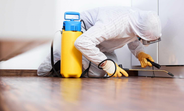pest control Essex