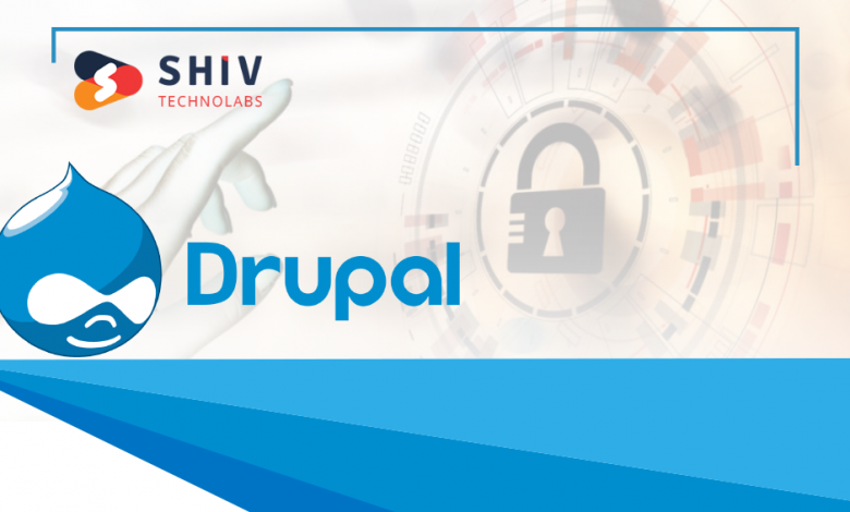 Drupal Development Company